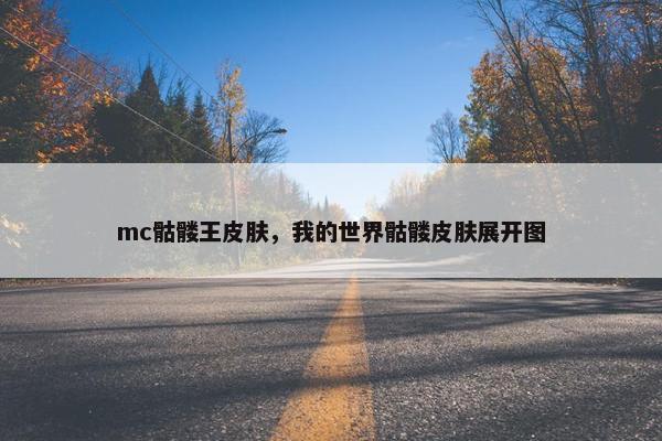 mc骷髅王皮肤,我的世界骷髅皮肤展开图 mc骷髅王皮肤,我的世界骷髅皮肤展开图