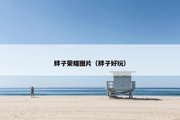 胖子荣耀图片（胖子好玩）