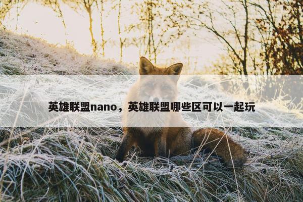 英雄联盟nano，英雄联盟哪些区可以一起玩