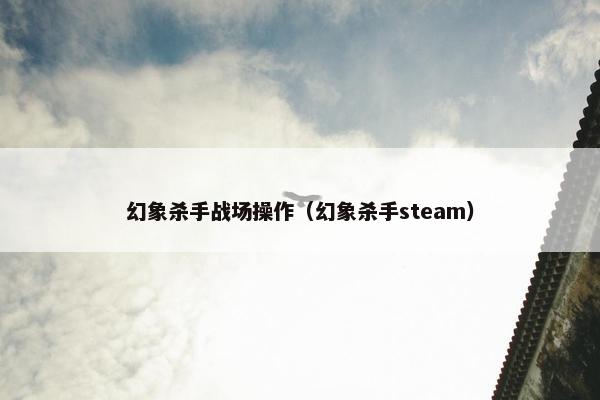 幻象杀手战场操作（幻象杀手steam）